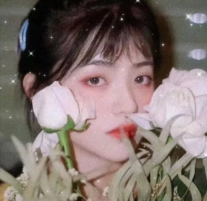 吉什岛的故事